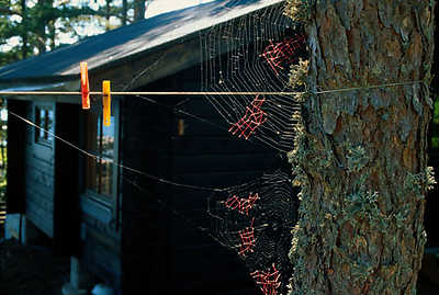 Mended spiderweb #19 Laundry line, Nina Katchadourian