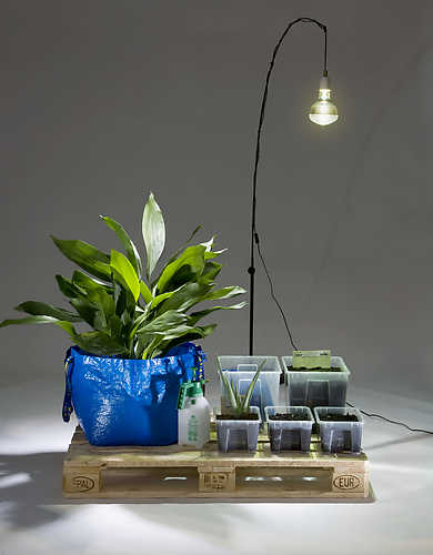 IKEA GARDENING - Frank Bruggeman. Photo: Leo Veger