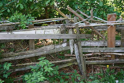 Grandmother's fence