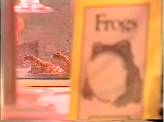 Frog Steak