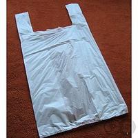 white plastic bag.jpg